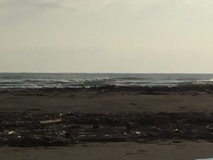 img_3537